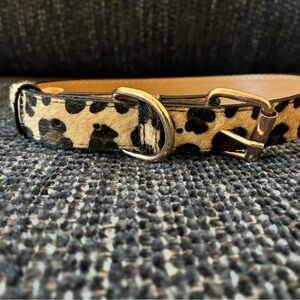 Leopard Print Dog Collar